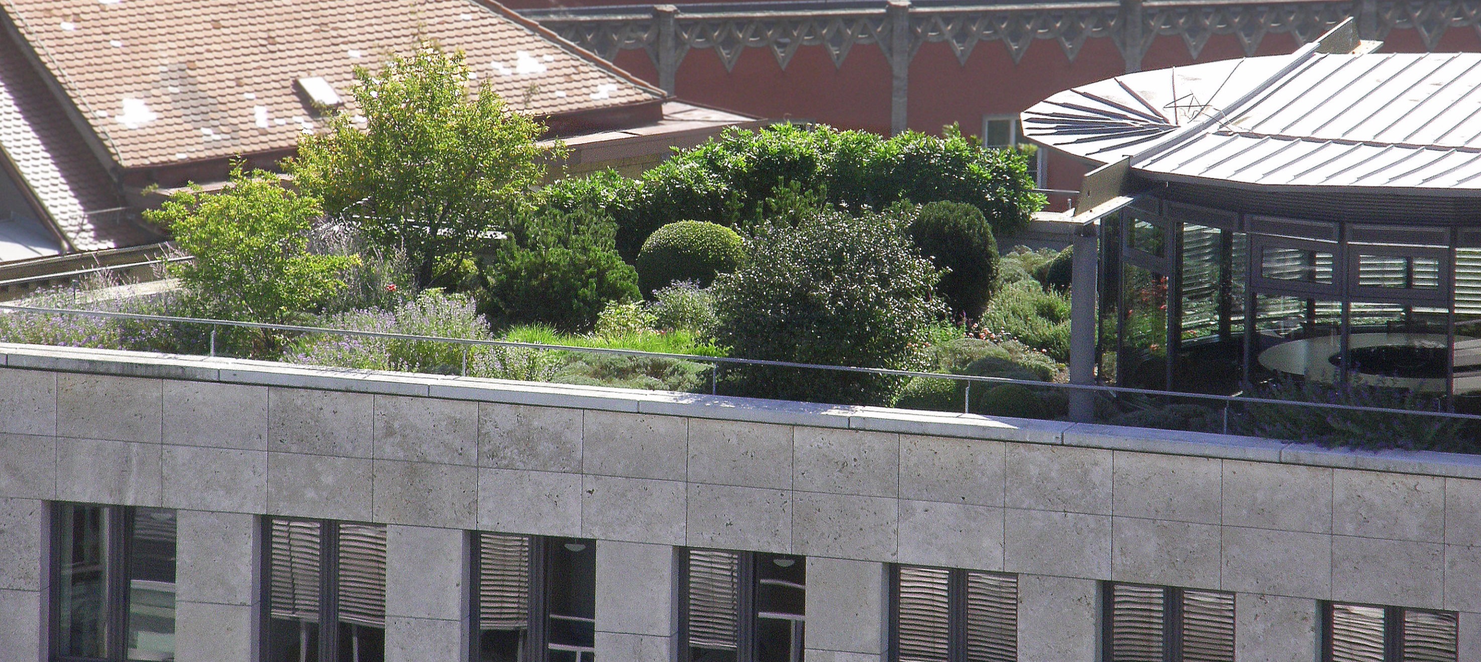 Klima Roof green roof system has been evolved over decades to ensure healthy, diverse, and resilient vegetation on structures.