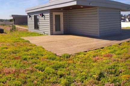 Blue Roof, Blue Green Roofs